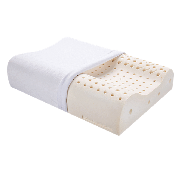 Nityam 100% Natural Latex Contour Pillow